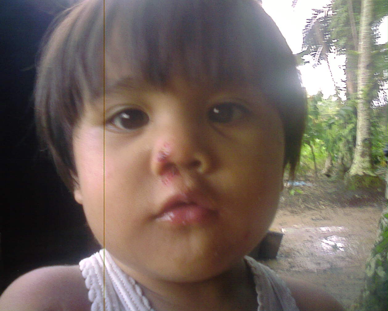 Foto001 2